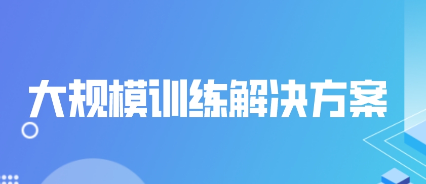 大规模训练解决方案